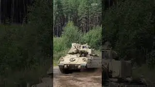 The 