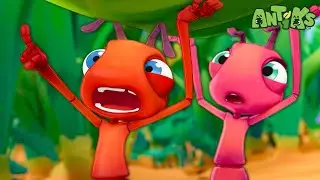Road Rage | Antiks 🐜 | Funny Cartoons for Kids