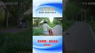China electric bicycle-- Ninebot