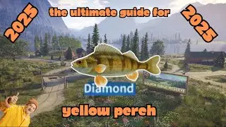 The ultimate diamond Yellow Perch (GUIDE) (Viewers can request the next guide on GRR)