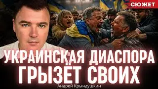 Почему я избегаю украинских громад: Крындушкин о токсичном патриотизме украинцев за рубежом