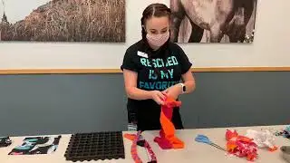 Humane at Home: Fri-D.I.Y. Enrichment for Dogs and Cats