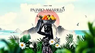 Pájaro Amarillo - Prey Hunter x Adrexx x Salsafro