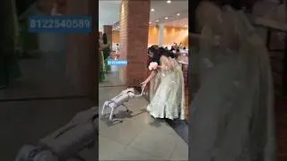 Robot Dog Event Rent 8122540589 Bengaluru Chennai Hyderabad Mumbai Pune Goa vizag Delhi Jaipur India