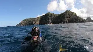 Second day of Spearfishing NZ Nationals. Koheru, Snapper and Pink Maomao