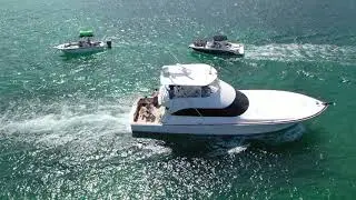 Haulover Sandbar Drone View 🛥️ 🇺🇸 Miami Florida 🇺🇸🦈