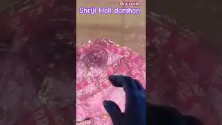 Barsana shriji darshan 💓#brajrasik#holi#brij#brajwasi#barsana#vrindavan#holi2024#goverdhan#dham#life
