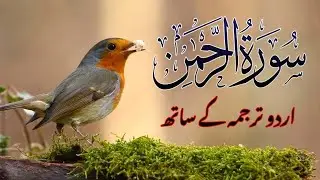 ✅ Surah Rahman | Urdu Tarjuma k Sath | Qari Al Sheikh Abdul Basit Abdul Samad