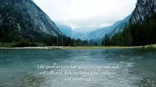 Pain vs Misery