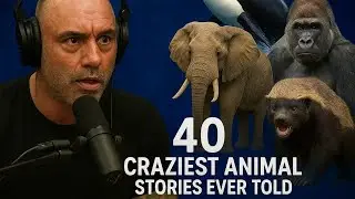 40 Real Animal Stories That Sound Too Crazy to Be True &ndash; Joe Rogan Experience | Joe Rogan Podcast 