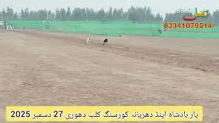 Yarbadshah dhuryana coursing club Dori track race 1st round female section 27 Dec 2025