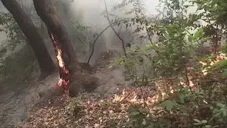 Northern California wildfire outlook for 2022