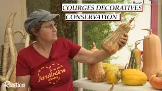 Conserver des courges d&eacute;coratives