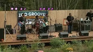 NC Zoo Grooves | NC Weekend | UNC-TV