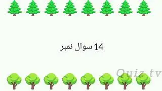 &ldquo;Islamic Knowledge Quiz | 25 Questions About Quran, Prophets & Prayers