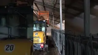 Koolzaadstro instrooien - Berg Agri
