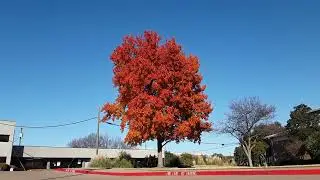 Winter Solstice in Duncanville 2025