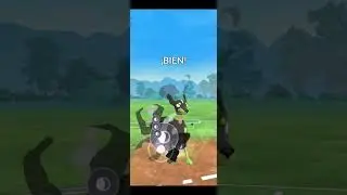 Liga de combates Go (5/5) parte final  Investigación Temporal