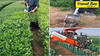 Amazing Innovative Machines Save Human's Energy