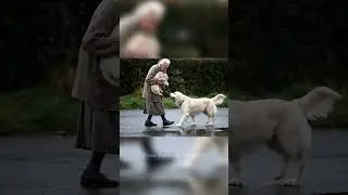 Old Woman Save Dog life #shorts #animalshorts #animalrescue