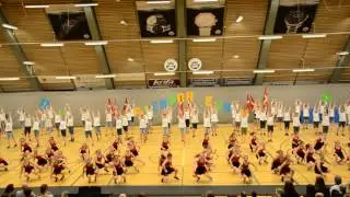 Aabenraa Opvisning 2015 del 3