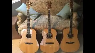 Larrivee JCL 40th Anniversary Edition and Goodall RS guitar jam