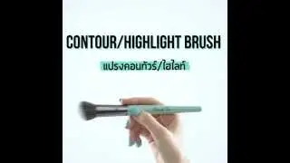 Contour/Highlight Brush (แปรงคอนทัวร์ /ไฮไลท์) By BRUSHTOO