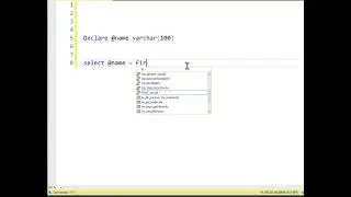 TSQL How to concatenate a string with a variable