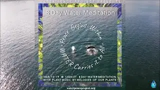 MAR 14 Day 4 of 8 Day Water Meditation & Consciousness Experiment Featuring Plant Music