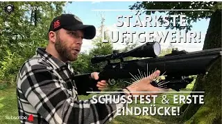 ST&Auml;RKSTES LUFTGEWEHR JEMALS!? UMAREX 850 M2 CO2 & ZIELGENAUIGKEIT | PADDYEVE