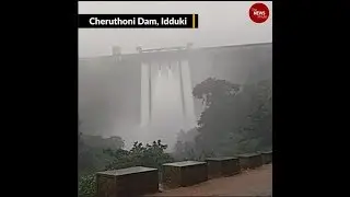 Kerala reels under unprecedented rains: No respite as MeT predicts more