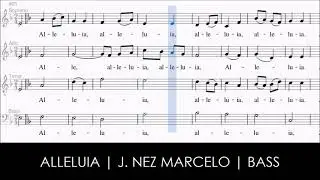 Alleluia | 5th Gospel | J. Nez Marcelo | Bass