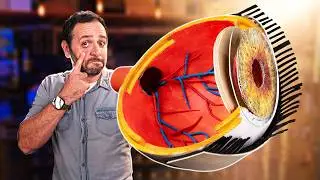 HAVE YOU EVER SEEN the INSIDE of an EYE? LEARN how IT WORKS!