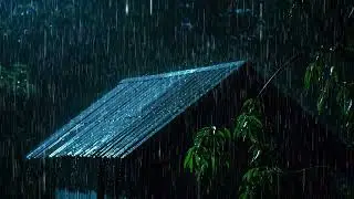 End Sleepless Nights in 3 Minutes with Growling Rain & Shrill Thunder on Rickety Tin Roof at Night