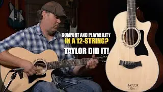 Комфорт и удобство игры на 12-струнной гитаре?! Taylor 352ce