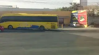 Autobuses oro
