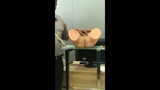 Female Catheterization
