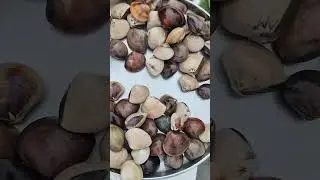 🐟 पापलेट. कोलंबी. वाढे. काटी. करकरा 🦐🌊#fish #शॉट #video #2024 #कोळी