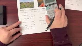 Salt Marsh Harvest Mouse - Algebra Practice