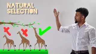 Science Raps: GCSE Biology - Evolution