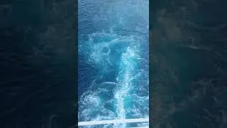 Große Freiheit - Mein Schiff 1 - Auslaufen La Gomera