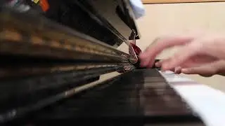 【My Practice Life #9】Mozart Sonata in F Major (K533/494)