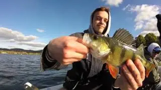 16 - Brochet 1m &agrave; Poses