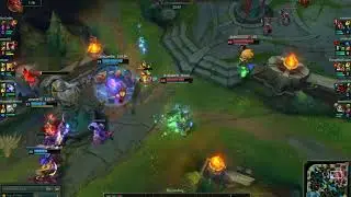 Best lee insec with sion