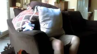 THAT ONE FUCKBOY IS ADOPTED ASMR (not clickbait)