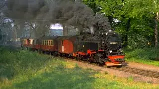 Harzkie Koleje 99-7235 przejeżdżają z Os14457 przez stację Sternhaus-Haferfeld w maju 1990 r.