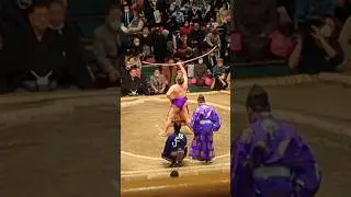 Sumo✨ #explore #Tokyo #sumo #wrestling #fun #adventure #japan #travel #live #love #games #wow #funny