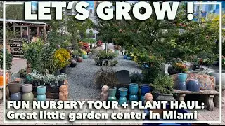 TOUR OF GARDEN CENTER: Visit to a Miami nursery with tips on picking the right plants