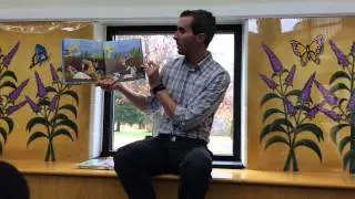 Mr. Matt Reads Dig, Dogs, Dig