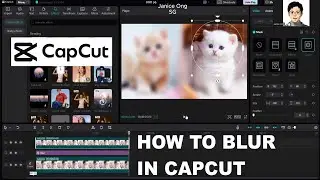 How To Blur Part Of Video Or Image In CapCut PC (Step-By-Step Tutorial)